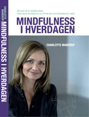 Mindfulness i hverdagen – Bog